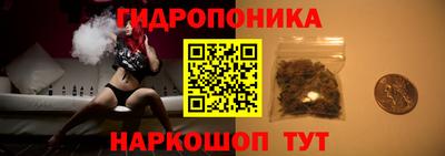 ECSTASY Шелехов