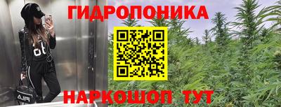 spice Шахты