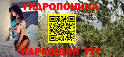 сатива Шебекино