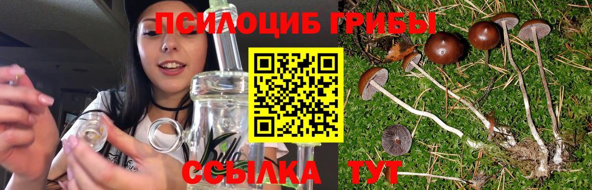 Псилоцибиновые грибы MAGIC MUSHROOMS  Псилоцибиновые грибы Cubensis  Вход с VPN  Ейск 